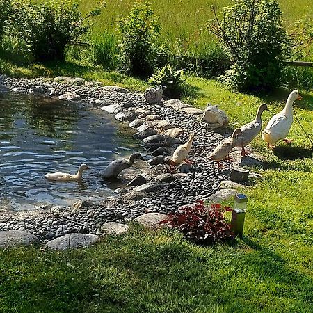 Hauseggerhof Villa Längenfeld Dış mekan fotoğraf