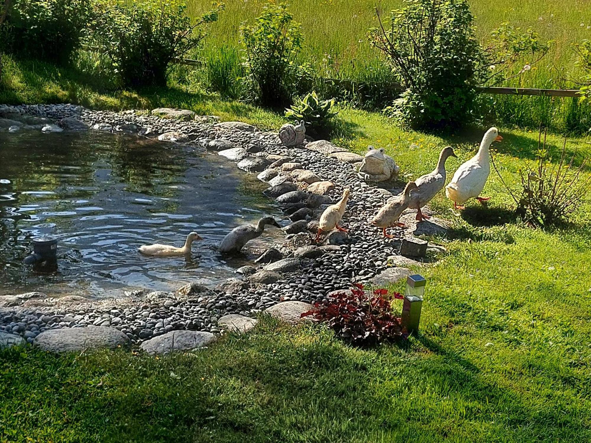 Hauseggerhof Villa Längenfeld Dış mekan fotoğraf